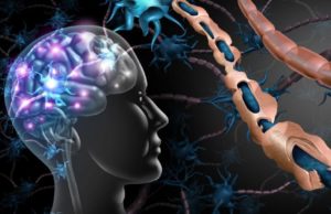 Multiple Sclerosis- Causes, Diagnosis and Treatment